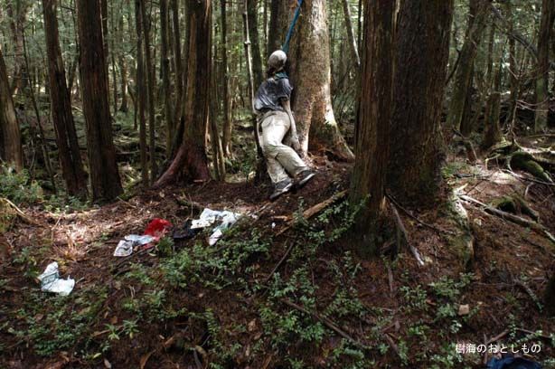 Les Aokigahara, Japonsko